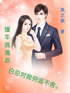 撞车逃逸后,白总对我穷追不舍