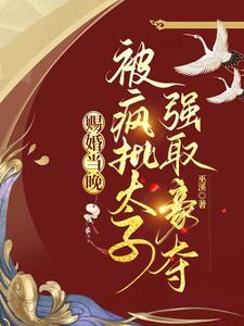 赐婚当晚,被疯批太子强取豪夺