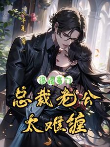 误嫁豪门：总裁老公太难缠顾安林夕