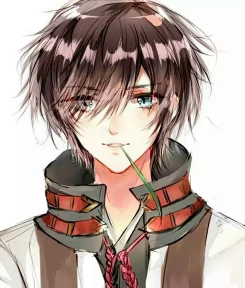 李辰安宁楚楚小说