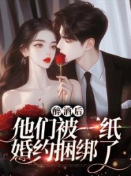 主角是江严白砚苏的