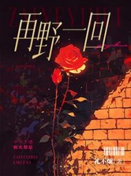 再野一回陆之河夏以风