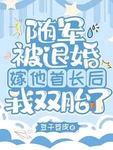 随军被退婚，嫁他首长后我双胎了阅读