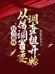 权力巅峰:从借调省委调查组开始最新