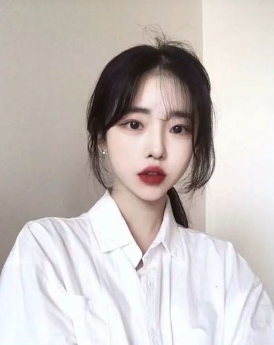 论调教一只宠物