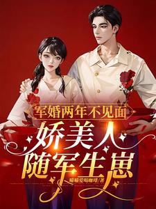 军婚两年不见面,娇美人随军生崽最新