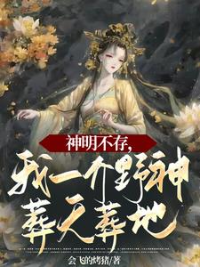 神明不存,我一介野神葬天葬地阅读