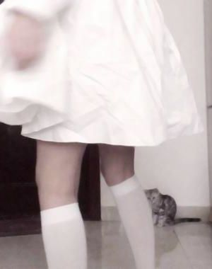 《家养小首辅》作者：假面的盛宴