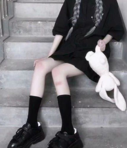 《康熙后宫生存手札(清穿)》作者:春夜载月