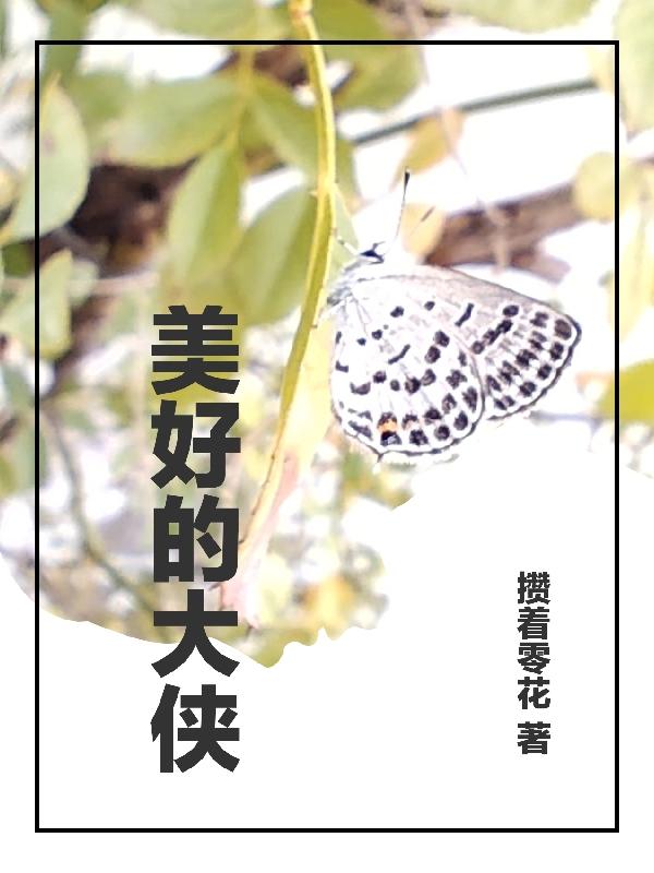 美好的大侠
