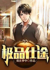 极品仕途张里李青