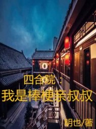 四合院我是棒梗亲叔叔