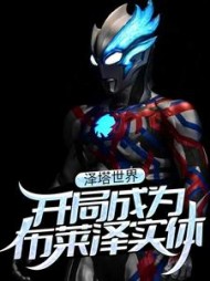 泽塔世界开局成为布莱泽实体