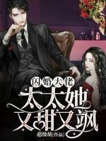 闪婚大佬:太太她又甜又飒