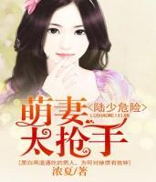 陆少危险,萌妻太抢手
