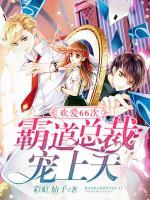 欢爱66次:霸道总裁宠上天